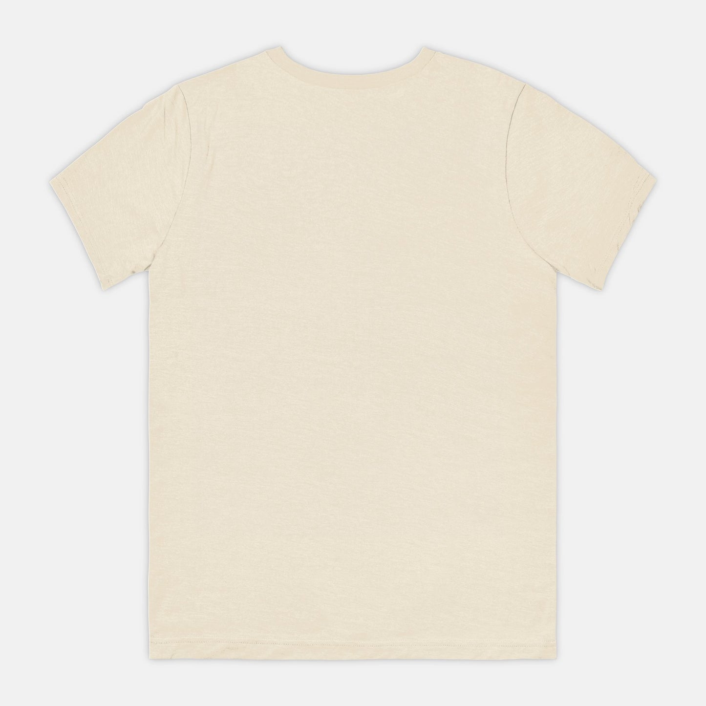 Another in the Fire, Bella Canvas Unisex Tee